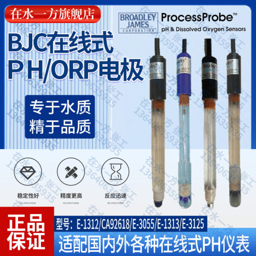 CA92618工业PH电极BJC在线探头