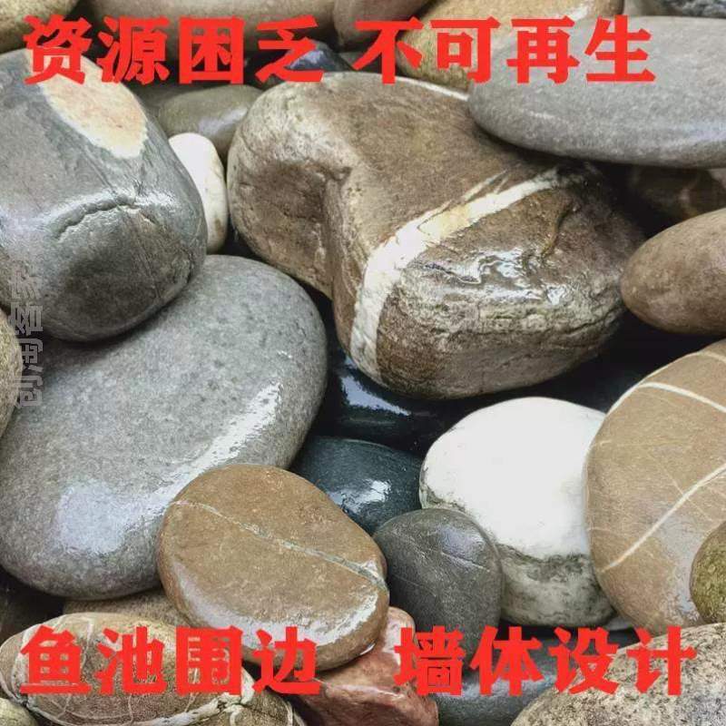 鹅卵石]背大晒台原石晒鱼缸压鱼乌龟大块号大池河溪流花园鹅卵石