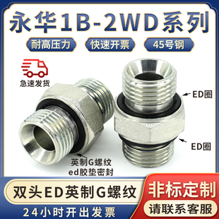 2WD永华英制G螺纹两头ED垫圈密封液压油管接头碳钢对丝直通