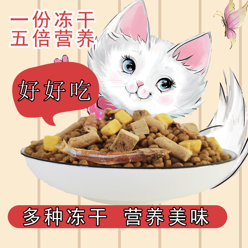 猫粮冻干猫粮牛肉味2.5kg5斤成猫幼猫流浪猫特价猫粮通用型