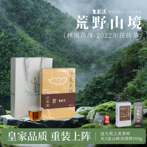 白沙溪安化黑茶林岚茯缘茯砖茶