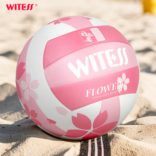 5号排球中考学生专用初学训练比赛考试充气沙滩男女排球软皮