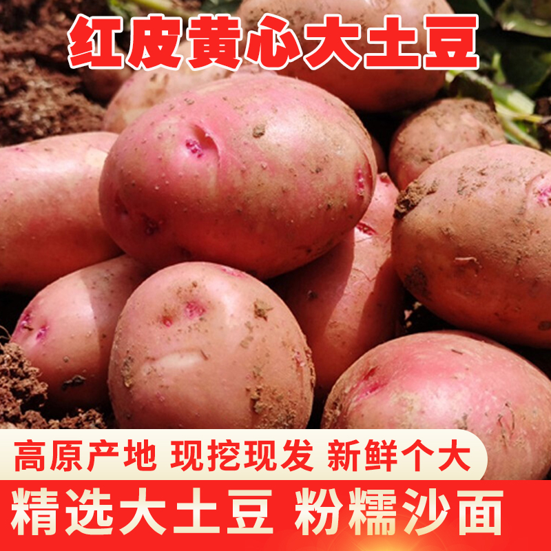 云南新鲜高原红皮黄心大土豆10斤农家自种蔬菜大号马铃薯整箱包邮|ruв категории водной мясо/свежие фрукты и овощи/еда, свежие овощи/овощной продукции, свежие овощи, картофель - от Buy2taobao.com для оказания профессиональной услуги покупки агента Taobao