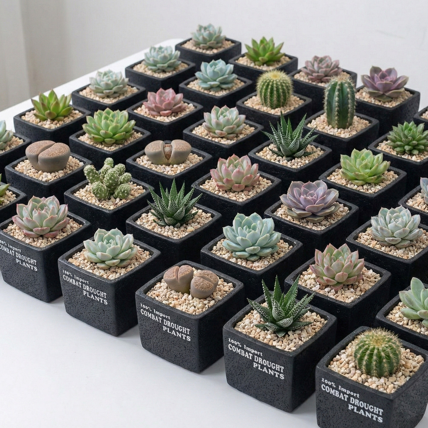 现代简约多肉植物盆栽长方水泥透气黑色可爱方口圆形花盆一个包邮,鲜花速递/花卉仿真/绿植园艺,花盆,淘宝优惠券,粉丝福利购,淘宝优惠卷