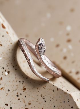 戒指高端轻奢灵蛇设计寓意守护平安招财纳福送人自戴带来吉祥好运