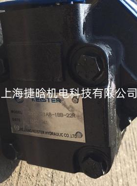 凯斯特KEISTER油泵 VICKERS 2520VQ21A8-1BB-22R 双联叶片泵