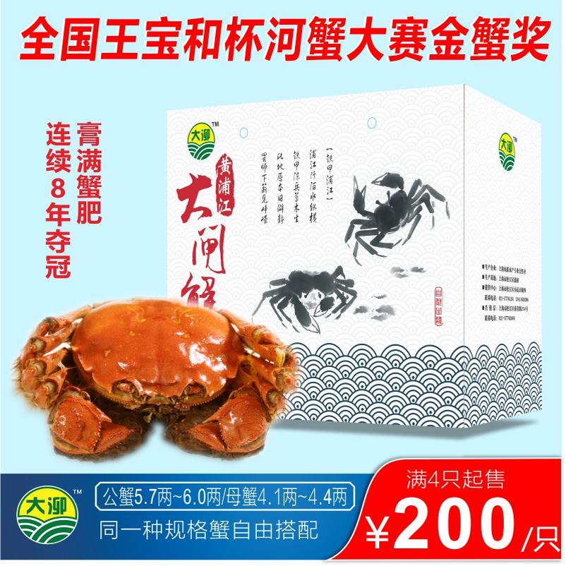 上海大泖牌黄浦江大闸蟹活物同城本地鲜活 水产螃蟹 4只起售