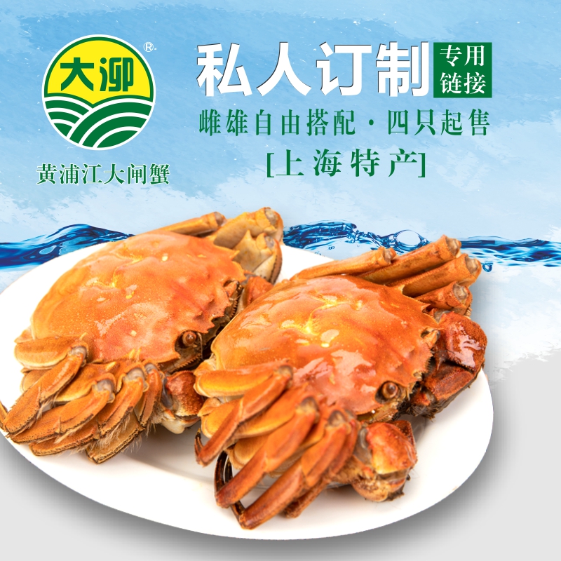 上海黄浦江大闸蟹大泖鲜活本地产