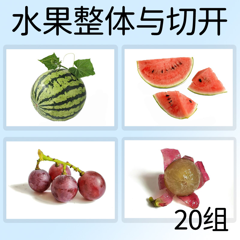 2-6岁局部与整体教具整体与切开