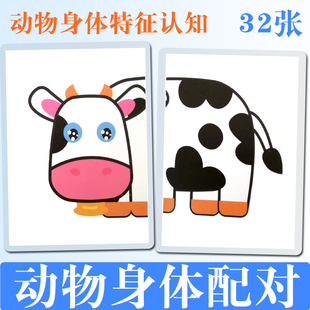 动物特征认知 身体配对训练卡片 自闭症宝宝语言迟缓儿童教具塑封