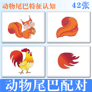 动物特征认知尾巴配对训练卡片彩图塑封防水撕不烂自闭症宝宝教具