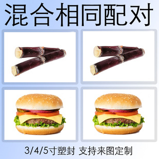 找相同配对卡片配对玩具教具早教认知专注力训练 自闭症康复教材