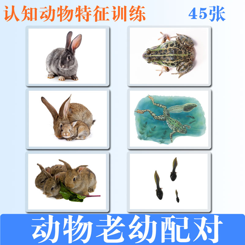 卡片式动物老幼铺配对认知卡满减