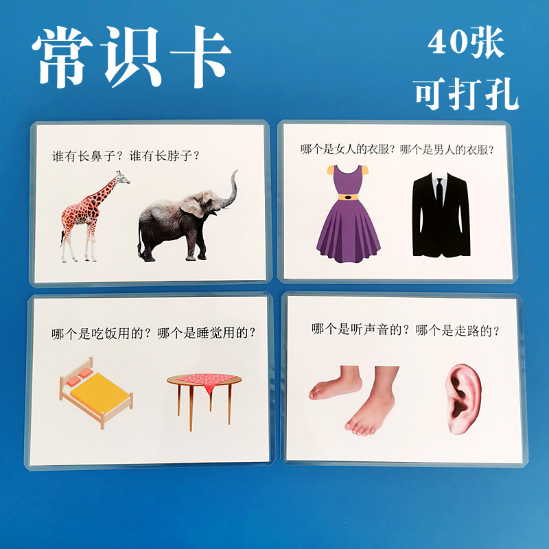 逻辑思维训练卡片基础常识认知