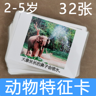 宝宝认知动物特征儿童医院迟缓训练卡片教具自闭症糖宝宝玩具塑封