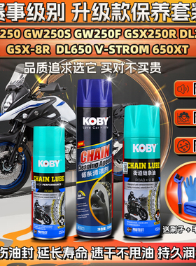 适用铃木GW250S/F DL/GSX250R/8R/650XT链条油蜡清洗剂保养套装