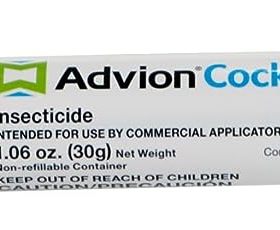 正品美国Advion蟑螂凝胶诱饵 单支  不带推杆cockroach 30g