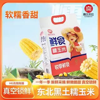高氏禾田黑土糯玉米图片