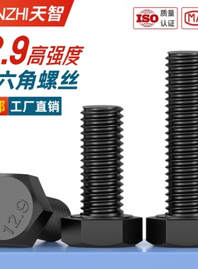 12.9级外六角螺丝加长高强度螺栓全牙螺杆M6M8M10M12M14M16M18M30