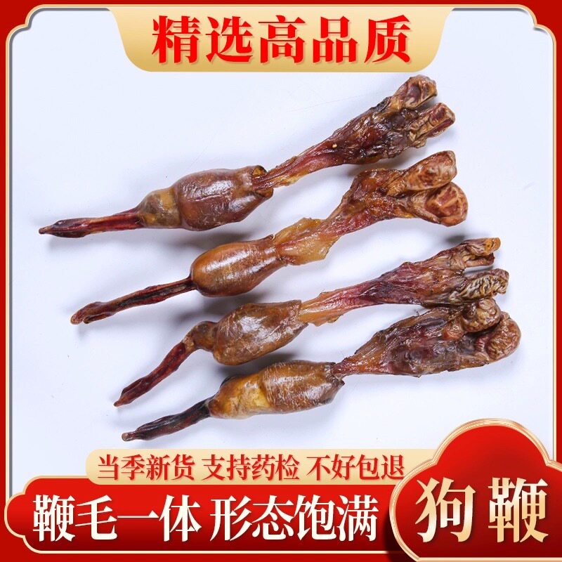 黄狗鞭新鲜黄狗肾食用泡酒料中药