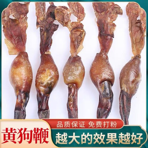黄狗鞭新鲜黄狗肾食用泡汤中药材狗鞭干整根35克整根 狗鞭 包邮