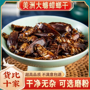 中药材干蟑螂 偷油婆 美洲大蜚蠊 飞蟅 茶婆虫 香娘子250克包邮