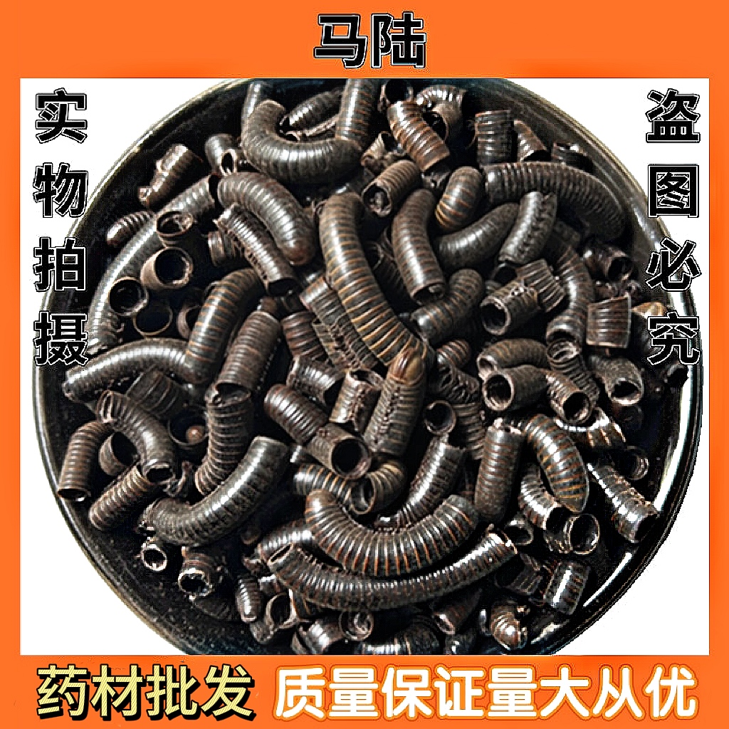 马陆中药材千足虫 山蛩虫 百节虫 马轴各种规格可选包邮 质量保证