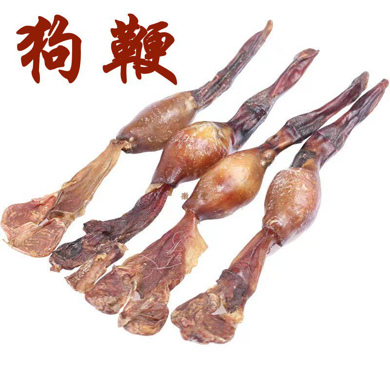 黄狗鞭新鲜黄狗肾食用泡汤中药材