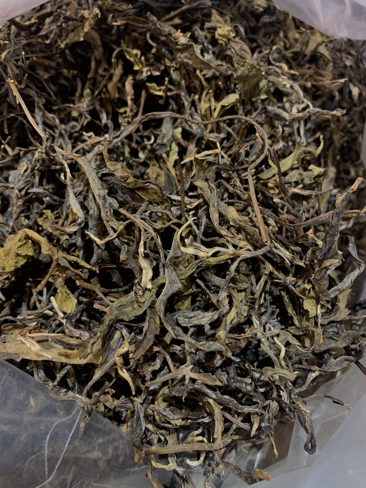 滋味很像迷帝贡茶的高杆古树仅9份500克的价格 拍完下架 茶气强