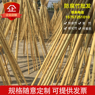 室内外装修装饰竹子 隔断吊顶搭架防腐防虫竹竿 楠竹旗杆竹杆围栏