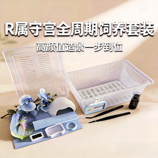 睫角守宫盖勾亚豹纹肥尾守宫饲养盒套装高颜值爬宠饲养箱造景用品