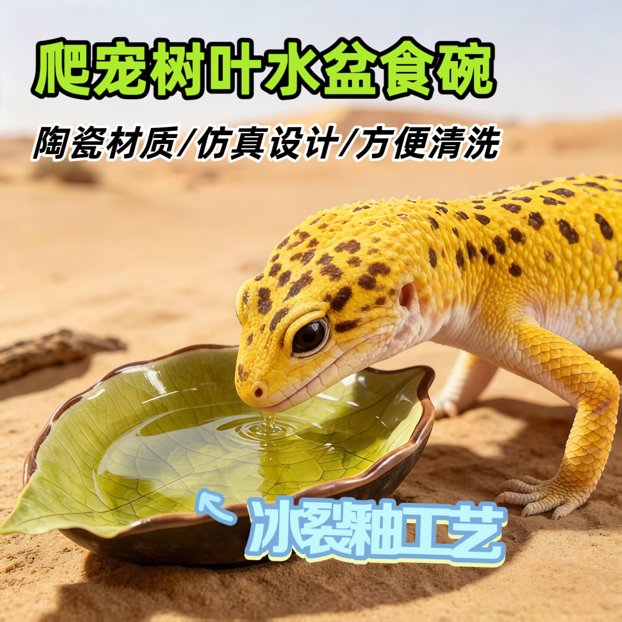 爬宠仿真树叶陶瓷食碗水盆豹纹睫角守宫乌龟蜥蜴蛇饲养箱造景水盆