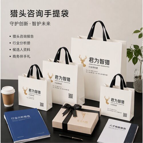 猎头咨询企业手提袋定制纸袋文件报告包装袋商务伴手礼礼品袋X335