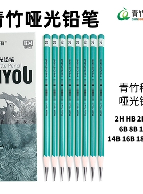 青竹画材希有哑光20B铅笔美术联考14b素描铅笔8B炭笔不反光速写6B碳笔亚光稀有美术生集训艺考专用工具旗舰店