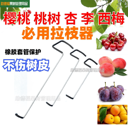 定型工具苹果樱桃拉枝器