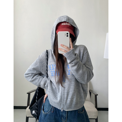 小众设计字母绣花连帽拉链毛衣