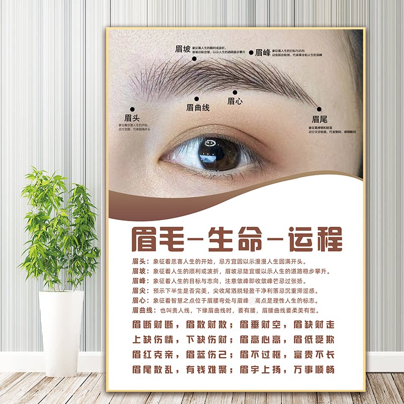 眉毛生命运程广告图纹绣海报纹眉图片眉眼唇装饰画眉运四字经挂画