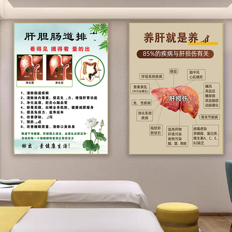 肝胆排毒海报脾胃调理广告