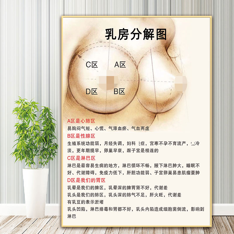 女性乳房结构图矢状解剖图胸部乳腺健康疾病艾灸全身经络穴位海报