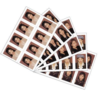 红贝贝红色天鹅绒202