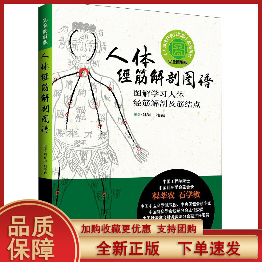 人体经筋解剖图谱:图解学习人体经筋解剖及筋结点|吴中朝倾力