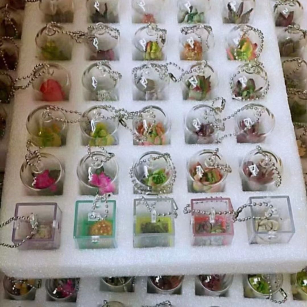 创意迷你多肉植物挂件学生包包仙人掌钥匙扣绿色迷你小盆栽小吊坠