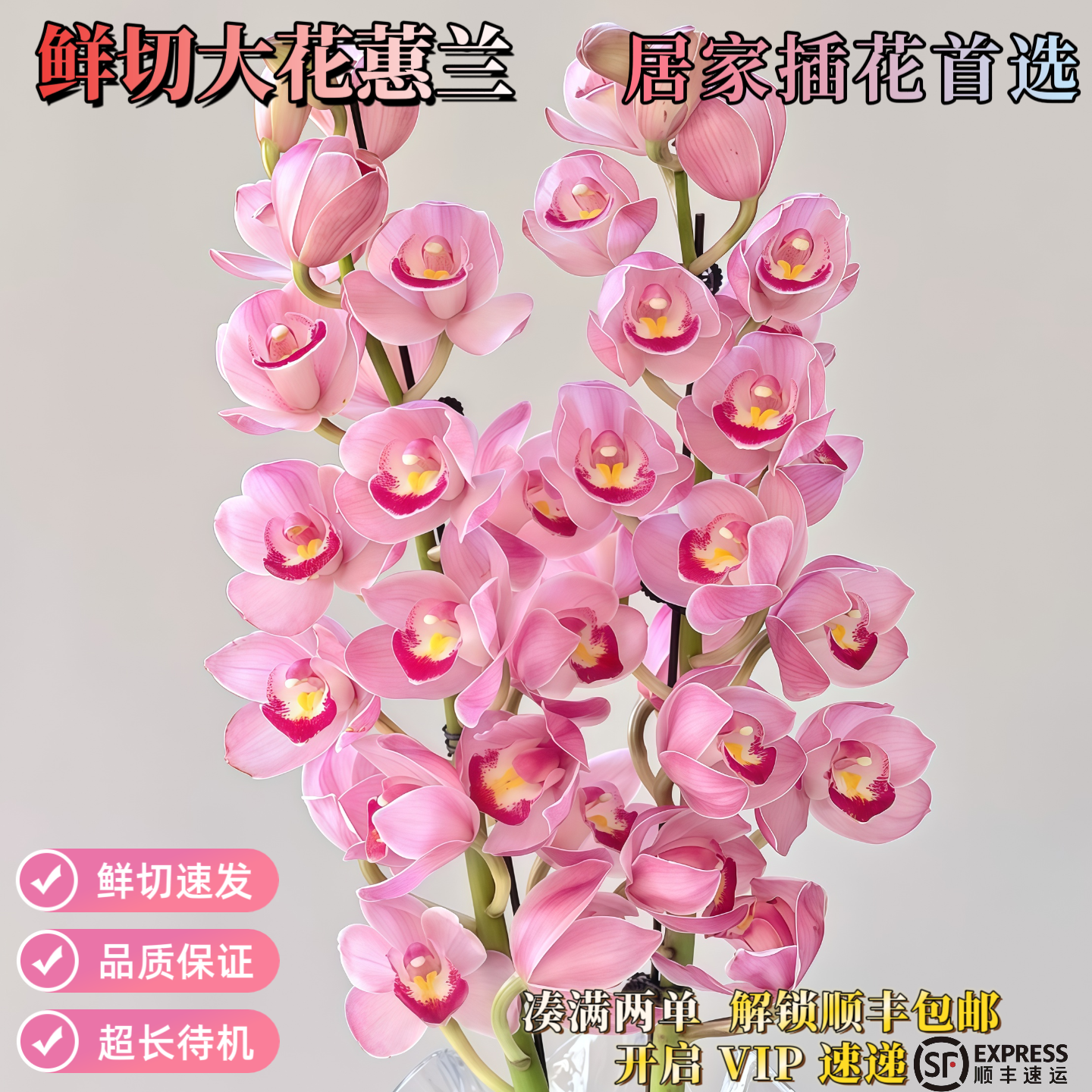 鲜枝大花惠兰云南直发超长花期高级感粉色兰花居家插花品质保证,鲜花速递/花卉仿真/绿植园艺,花材,淘宝优惠券,粉丝福利购,淘宝优惠卷