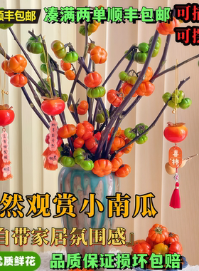 鲜切小南瓜鲜花高级氛围感