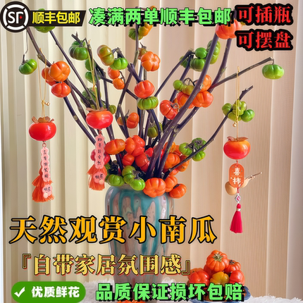 鲜切小南瓜鲜花高级小众花材云南直发室内水培绿植装饰高级氛围感