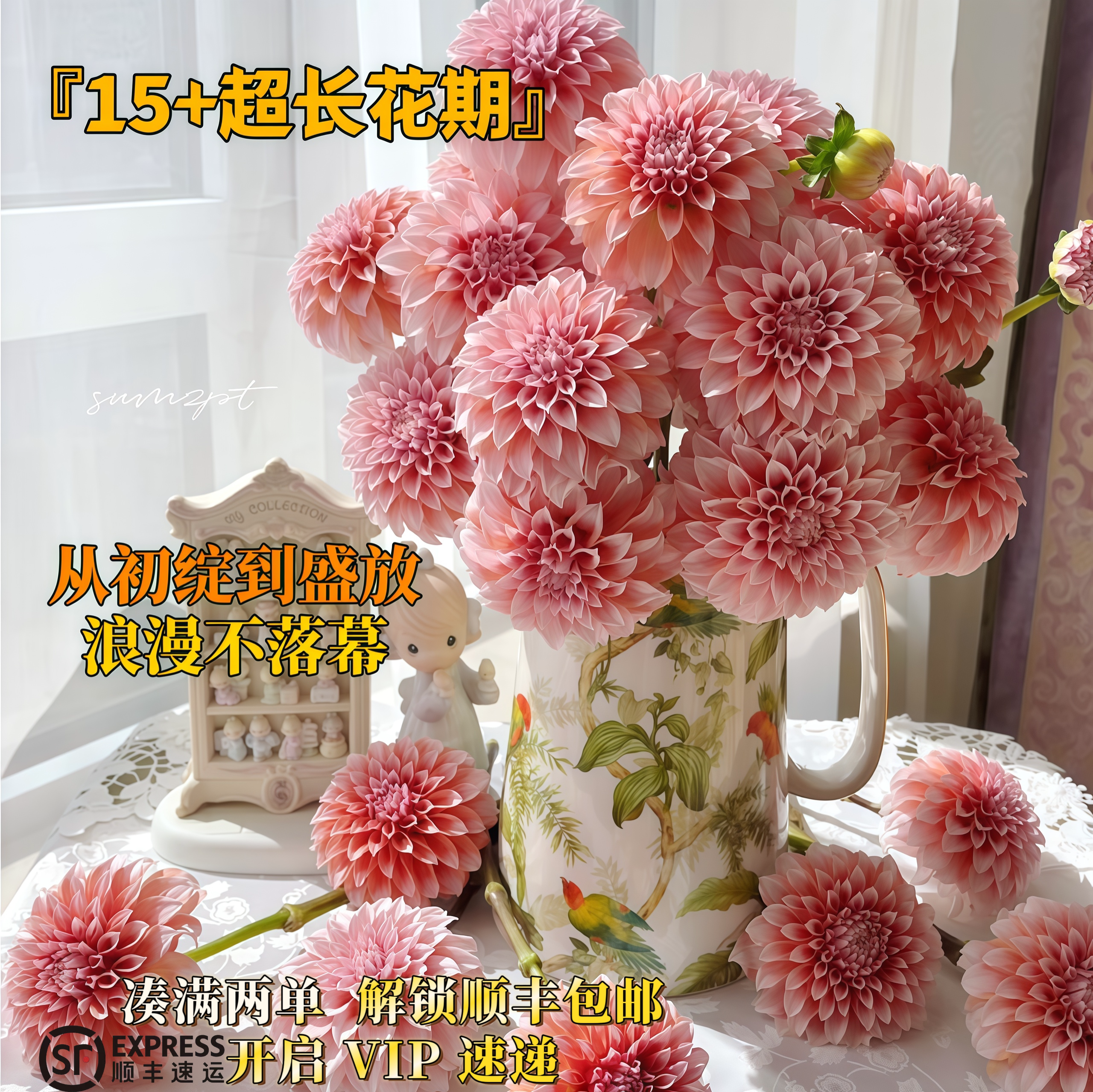 精品高颜值新鲜粉色大丽花花材鲜花氛围感浪漫花材超长花期