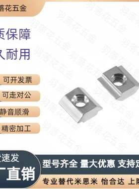 HNTASN5螺母HNTA6铝型材HNTAV8/HNTASS4/HNTAZ/HNTFZ/HNTFSN-