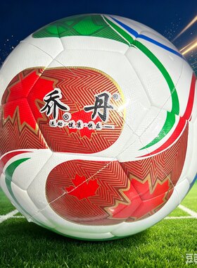 2026 世界杯同款足球训练比赛专用 乔丹五号足球