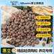 惠立陶粒垫底养花专用多肉营养土花盆回填鱼缸水培铺面火山石颗粒