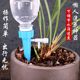 自动浇水器自动渗水器懒人浇花器滴灌器浇花神器养花滴灌喷头盆栽
